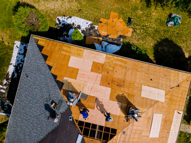 Best Flat Roof Repair Services  in Etowah, TN